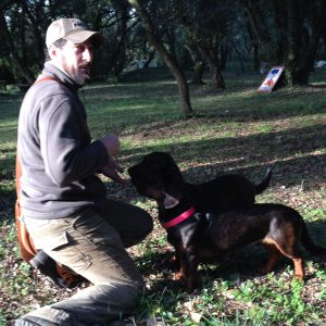 Le caveur et ses chiens